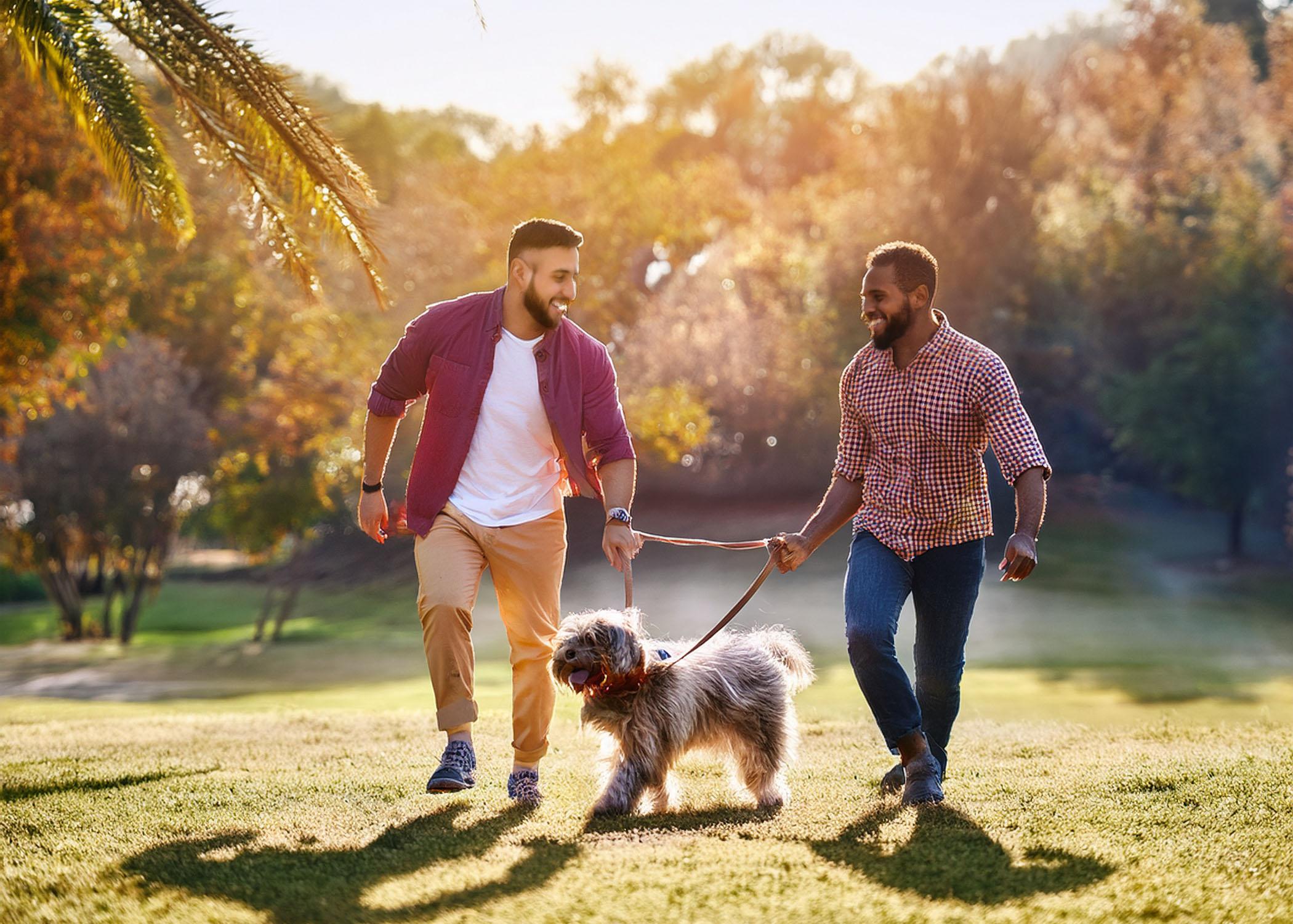 Gay couple playing with dog in park